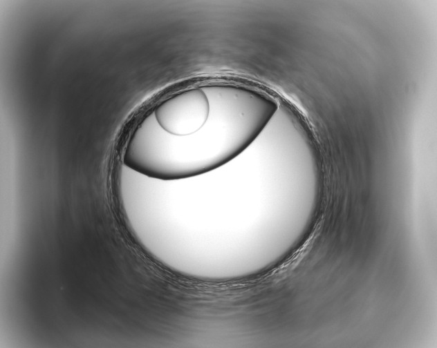 X0000096431311200801241015