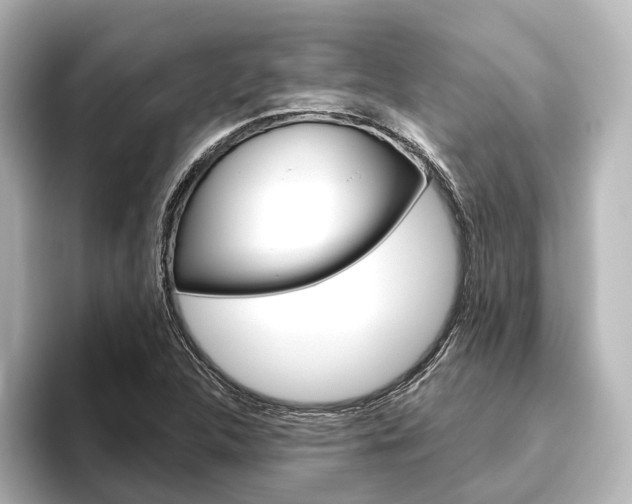 X0000096431312200801241016