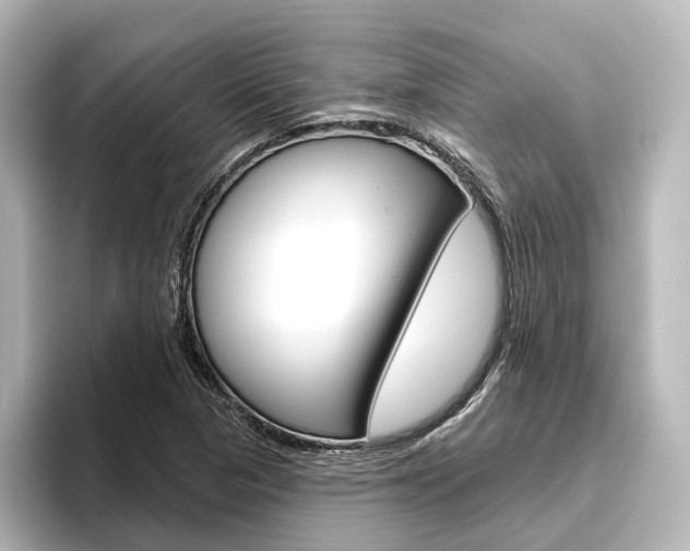 X0000096431313200801241016