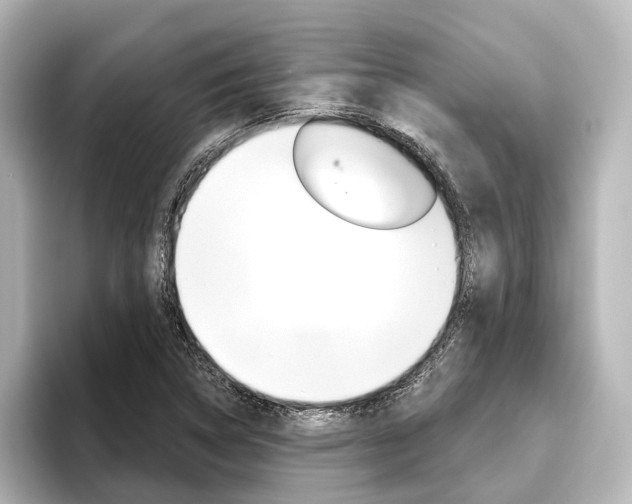 X0000096431314200801241016