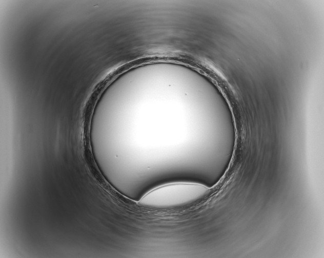 X0000096431315200801241016