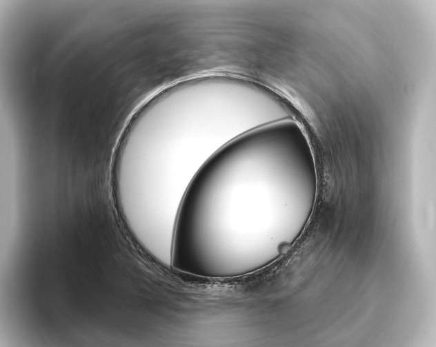 X0000096431316200801241016