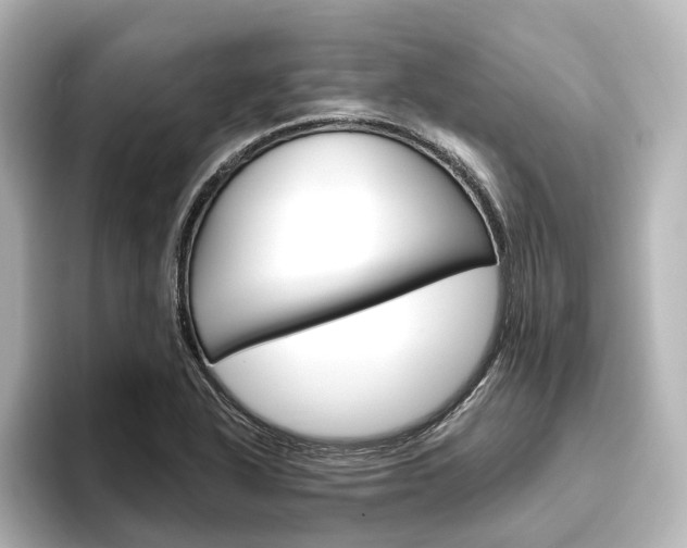 X0000096431318200801241016