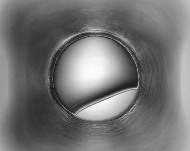 X0000096431319200801241016