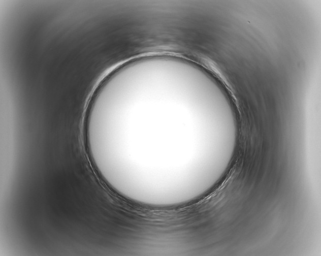X0000096431320200801241016