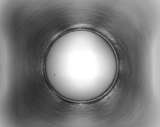 X0000096431321200801241016