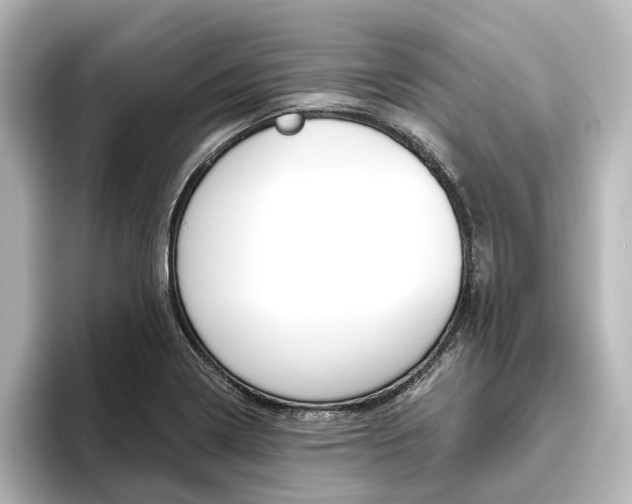 X0000096431322200801241016