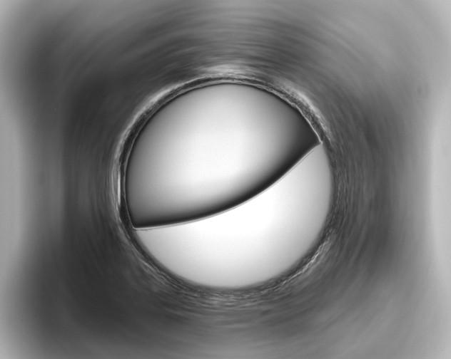 X0000096431323200801241016