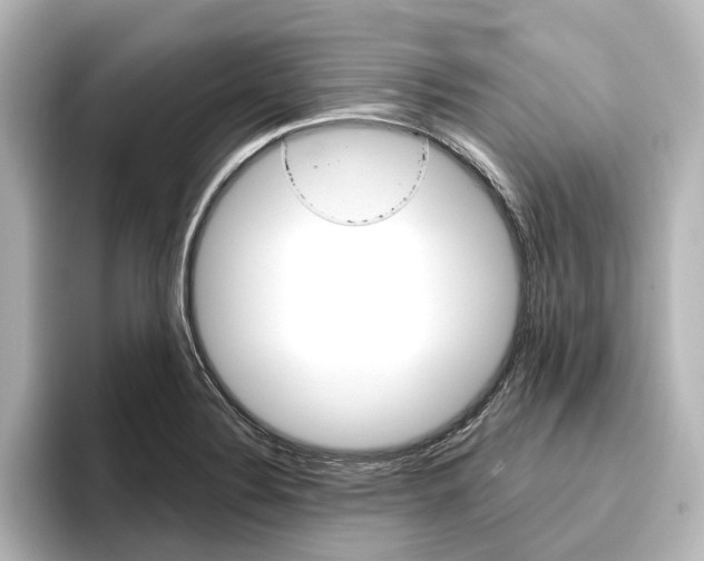 X0000096431324200801241016
