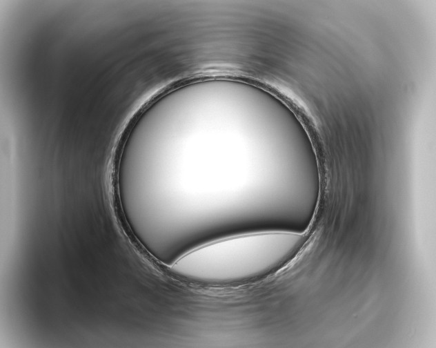 X0000096431325200801241016