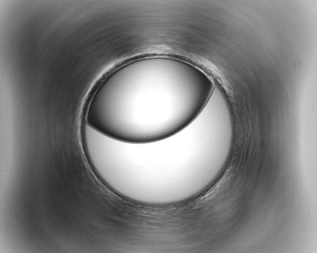 X0000096431326200801241016