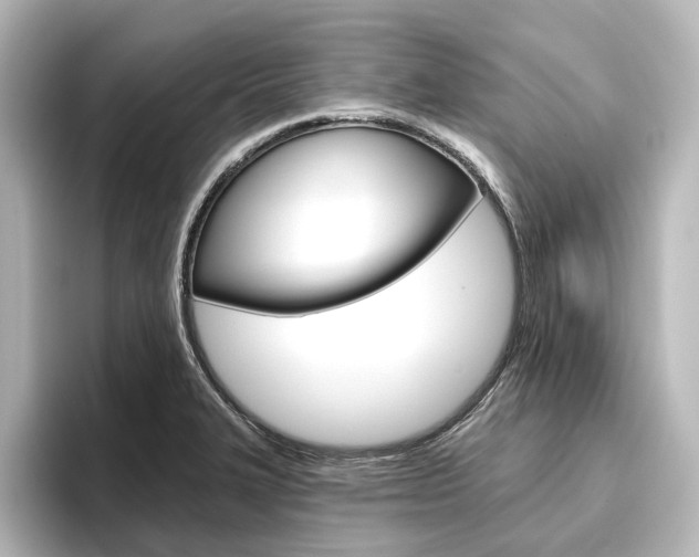 X0000096431327200801241016