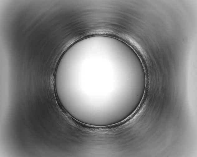 X0000096431329200801241016