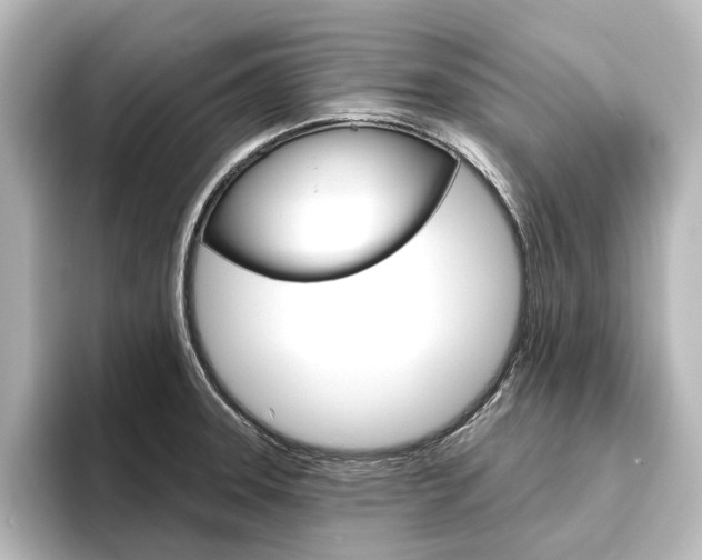X0000096431331200801241016