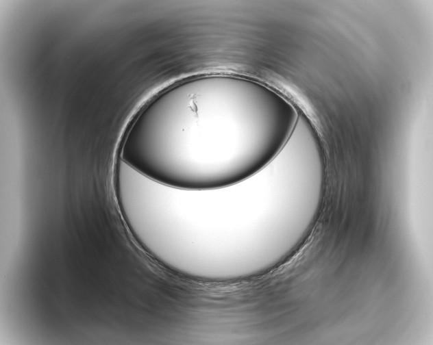 X0000096431332200801241016