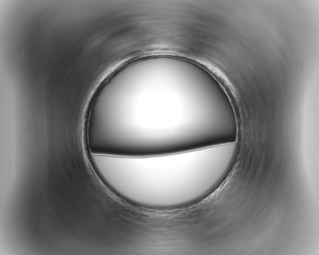 X0000096431333200801241016