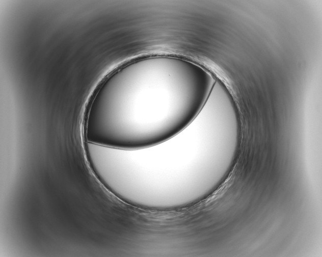X0000096431334200801241016