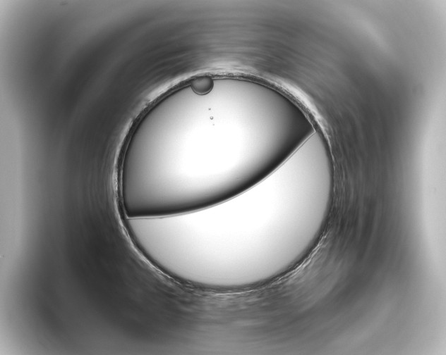 X0000096431335200801241016