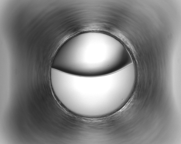 X0000096431337200801241016