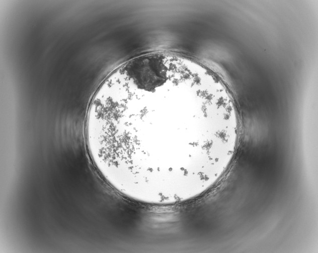 X0000096431338200801241016