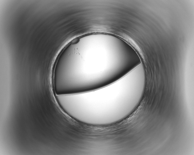 X0000096431339200801241016