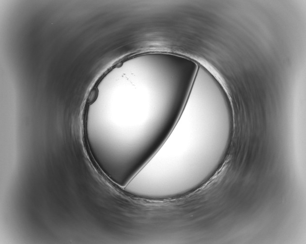 X0000096431341200801241016