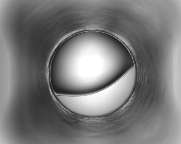 X0000096431342200801241016