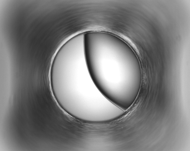 X0000096431343200801241016
