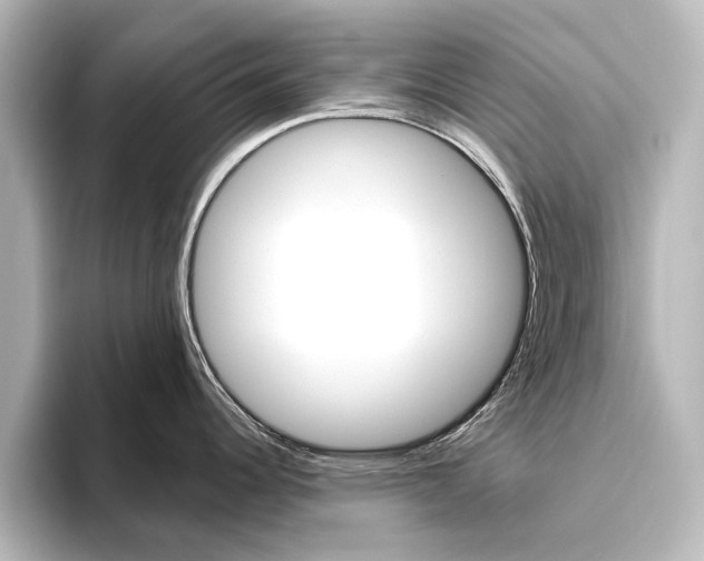 X0000096431344200801241016