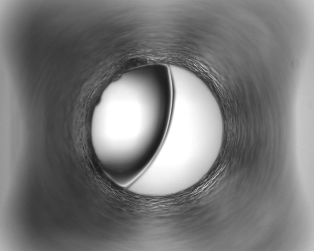 X0000096431345200801241015