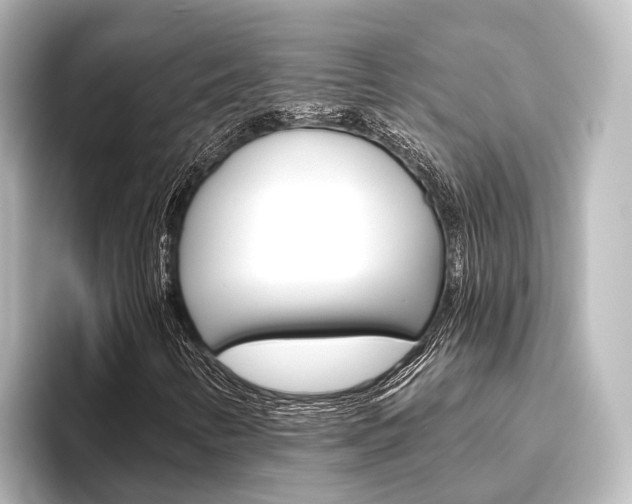 X0000096431346200801241015