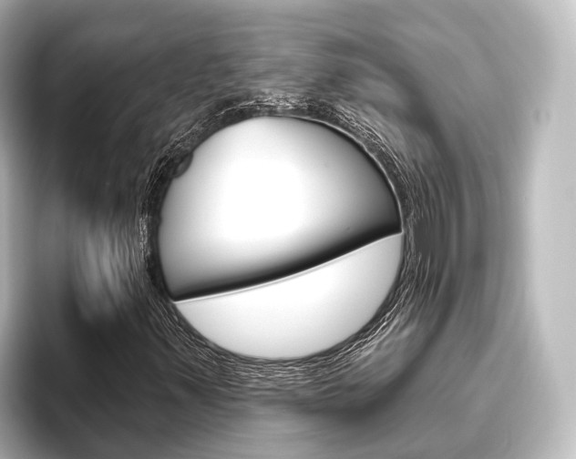 X0000096431347200801241015