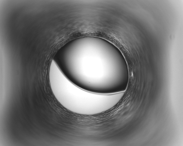 X0000096431348200801241015
