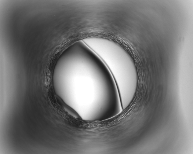 X0000096431349200801241015