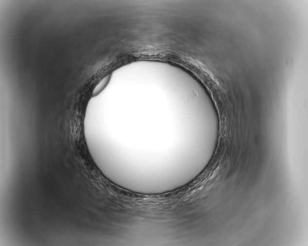 X0000096431350200801241015