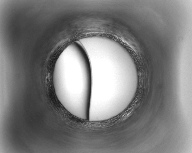 X0000096431351200801241015