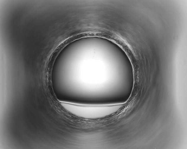 X0000096431352200801241015