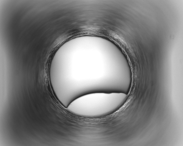 X0000096431354200801241015