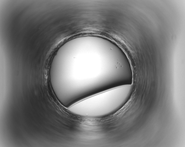 X0000096431355200801241015