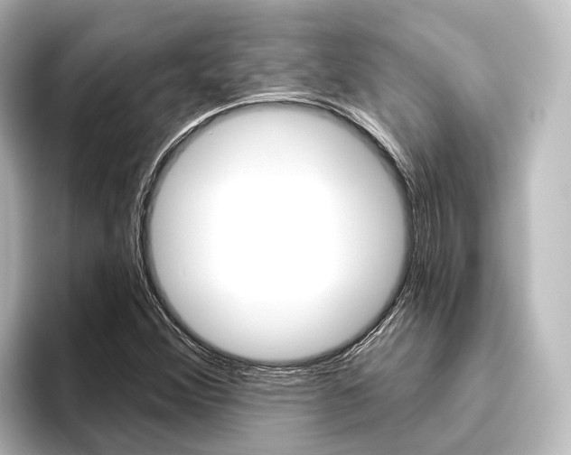 X0000096431356200801241015