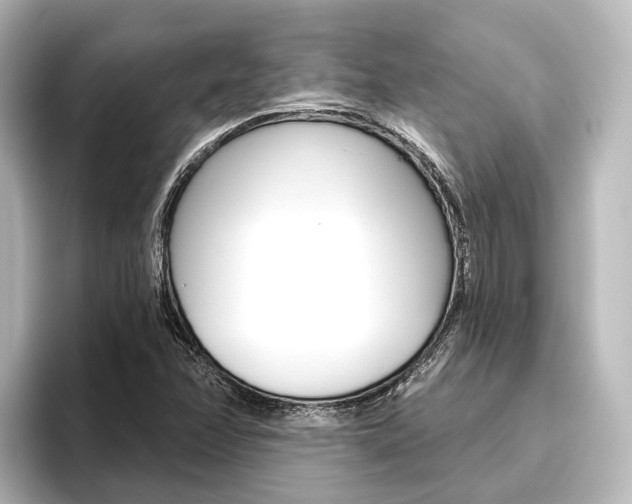 X0000096431358200801241015