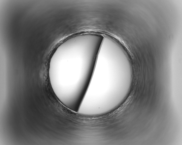 X0000096431359200801241015