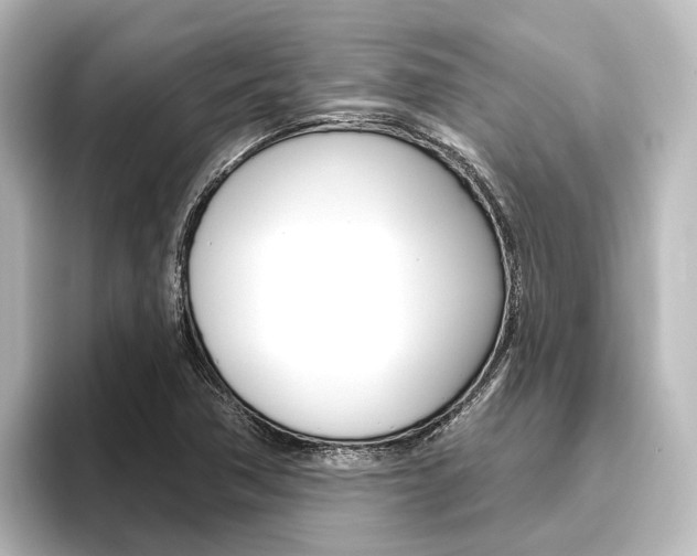 X0000096431362200801241015
