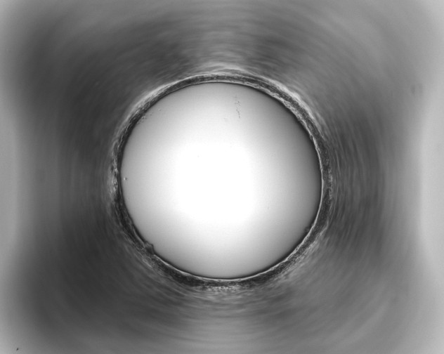 X0000096431363200801241015