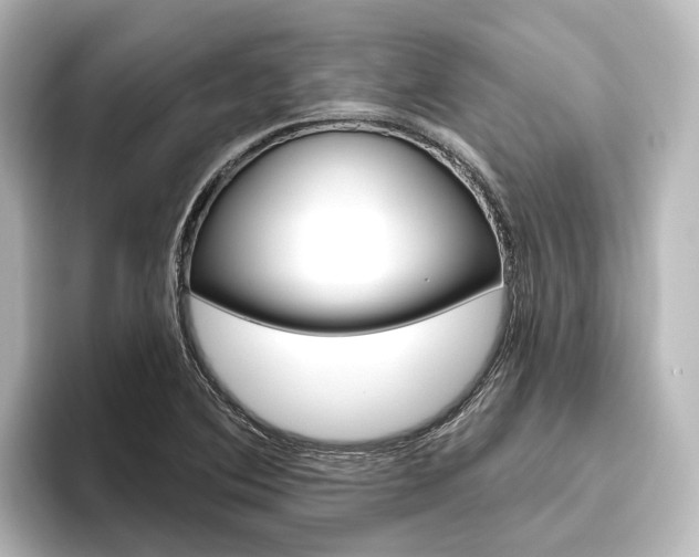 X0000096431364200801241015