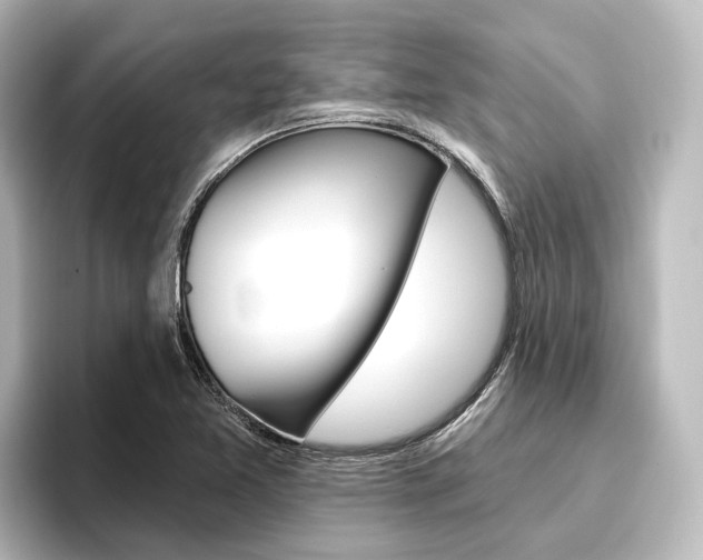 X0000096431365200801241015