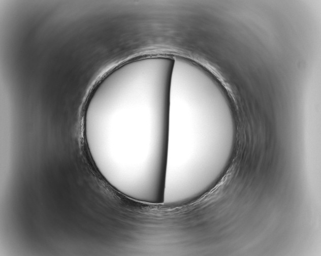 X0000096431366200801241015