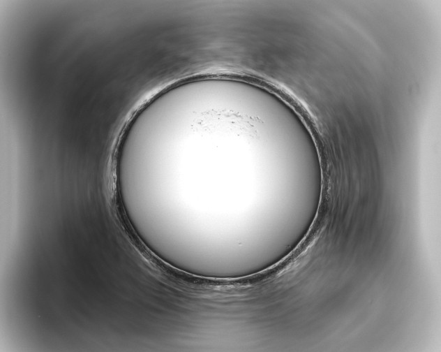 X0000096431367200801241015