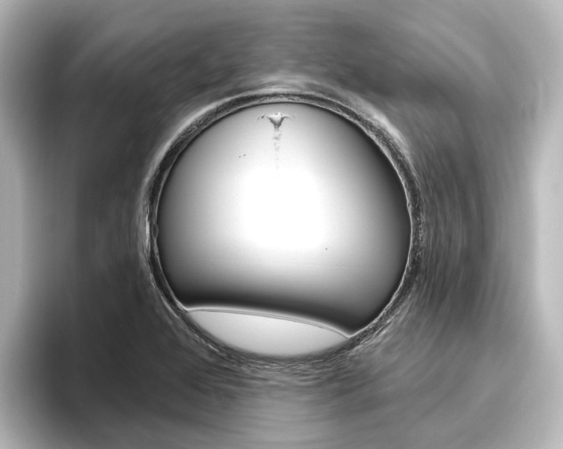 X0000096431368200801241015