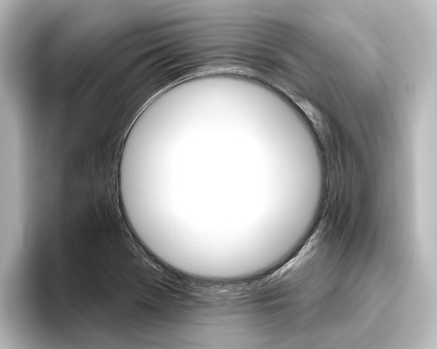 X0000096431369200801241015